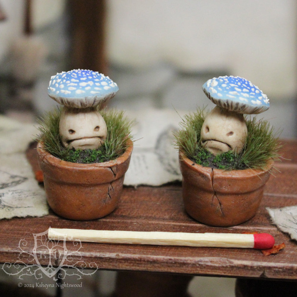 Potted Unhappy Toadstool - Blue