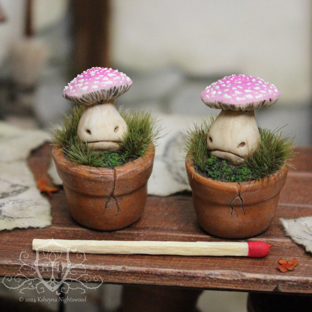 Potted Unhappy Toadstool - Pink