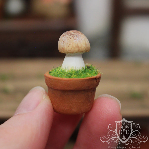 Potted Toadstool - Brownie Cap
