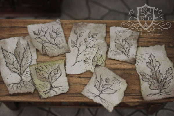 Parchments - Leaves