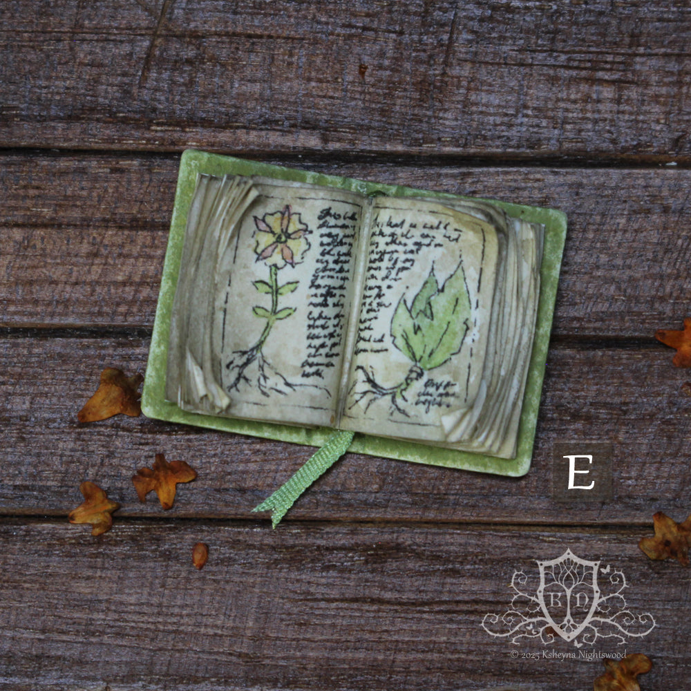 Open Books – The Herbalist