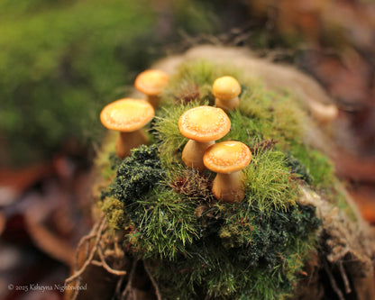 Darkyn - OOAK Troll Art Doll