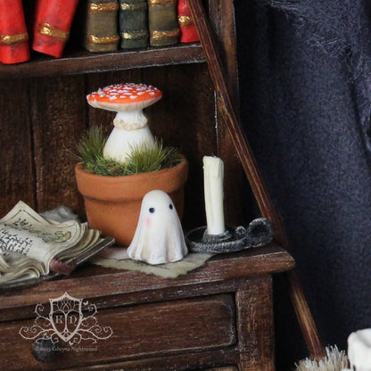 Bookshelf Blushing Ghosts