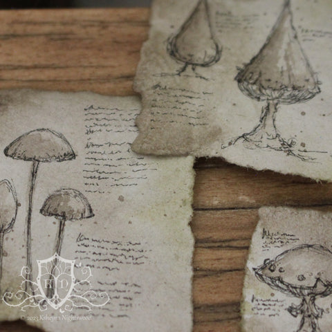 Parchments - Mushrooms