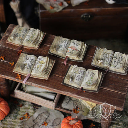 Open Books – Mushroom Collector