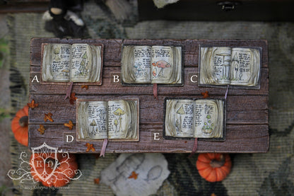 Open Books – Mushroom Collector