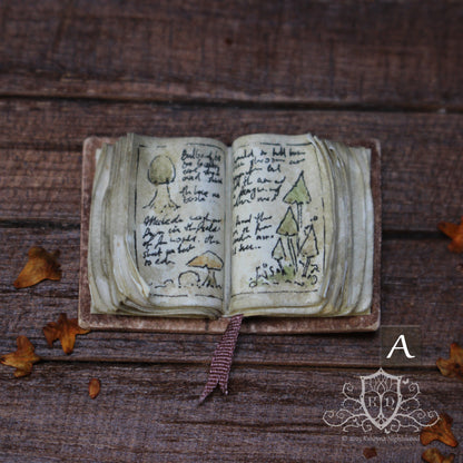 Open Books – Mushroom Collector