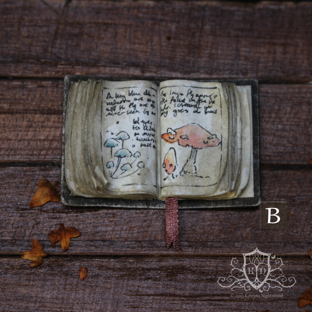 Open Books – Mushroom Collector
