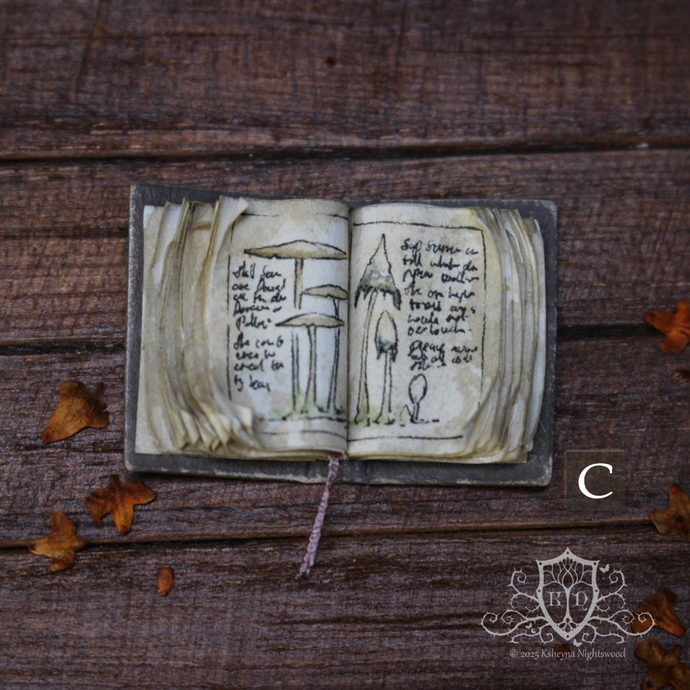 Open Books – Mushroom Collector