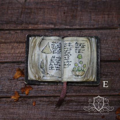 Open Books – Mushroom Collector