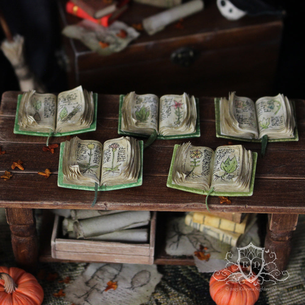 Open Books – The Herbalist