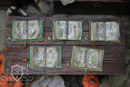 Open Books – The Herbalist