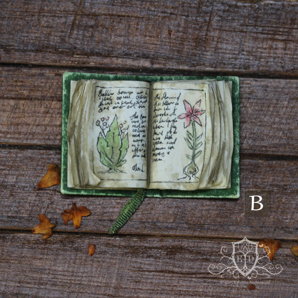 Open Books – The Herbalist