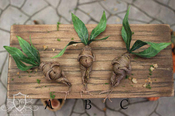 Mandrake Root