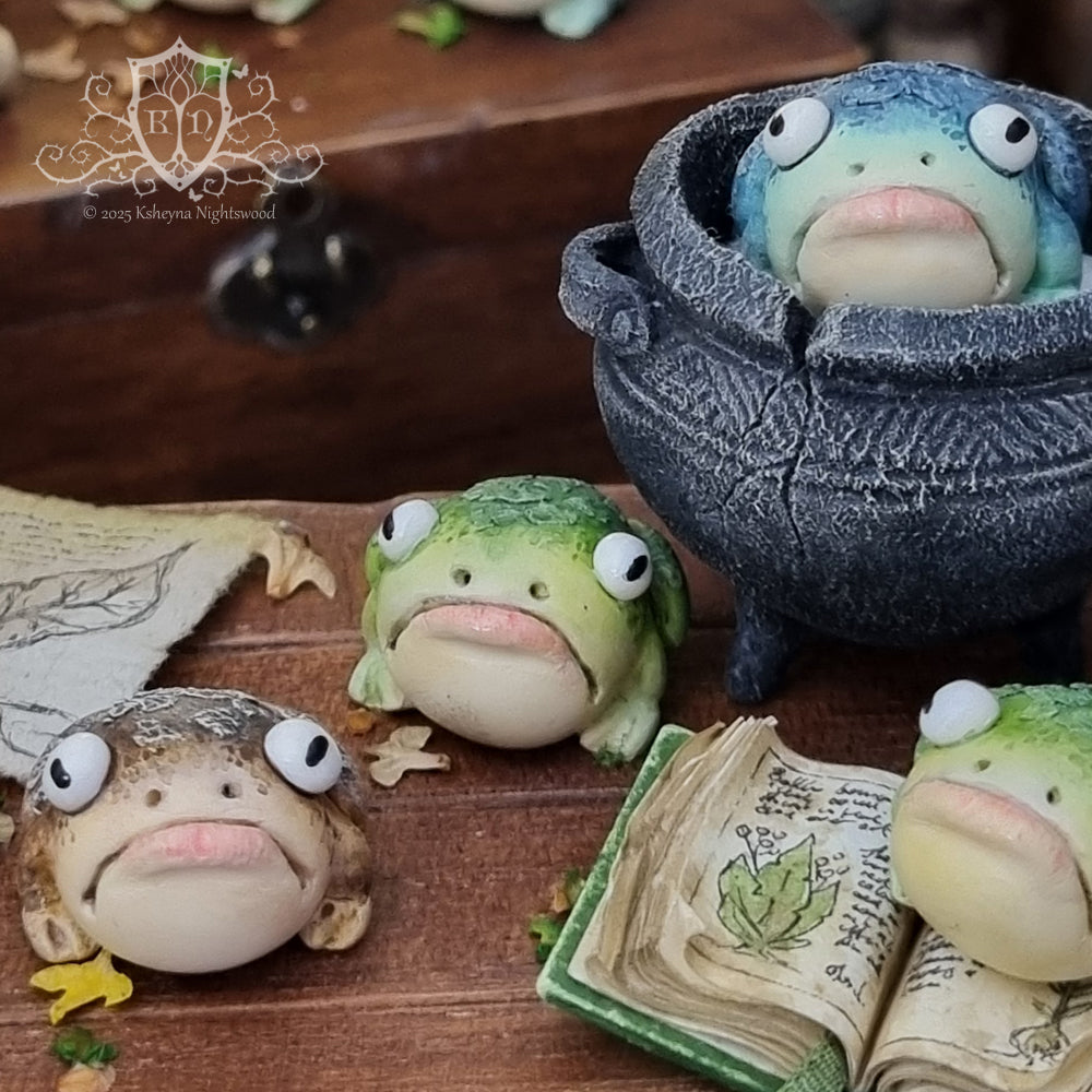 Witches Toads