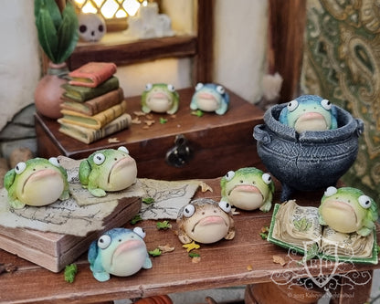 Witches Toads