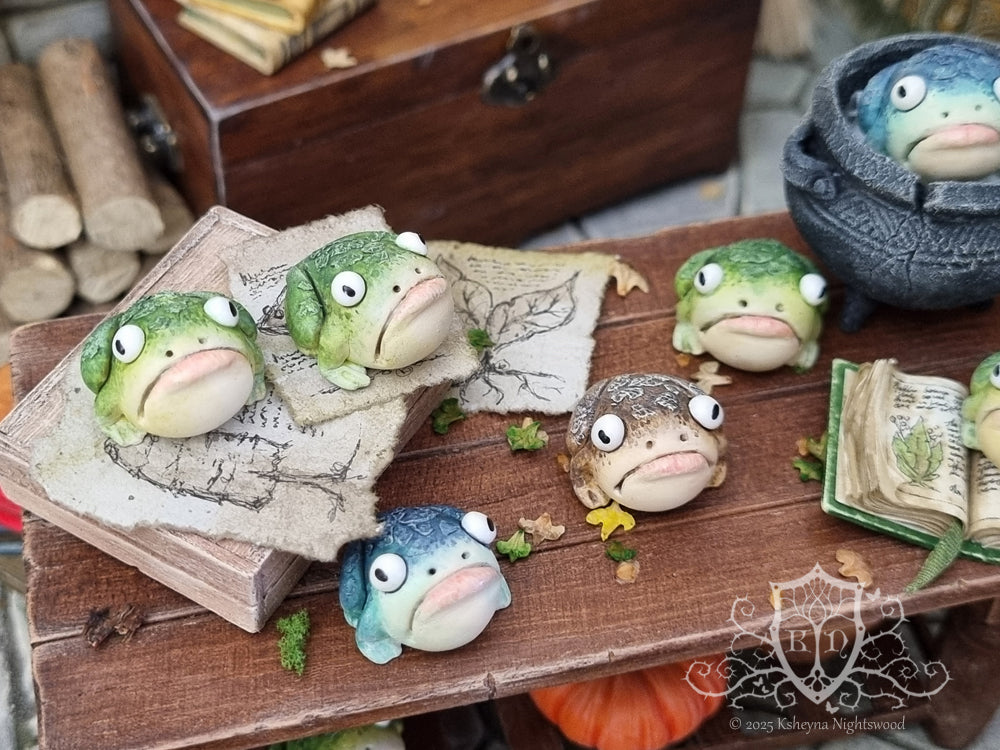 Witches Toads
