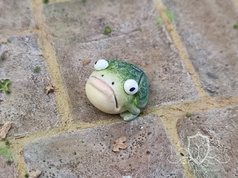 Witches Toads