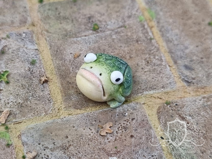 Witches Toads