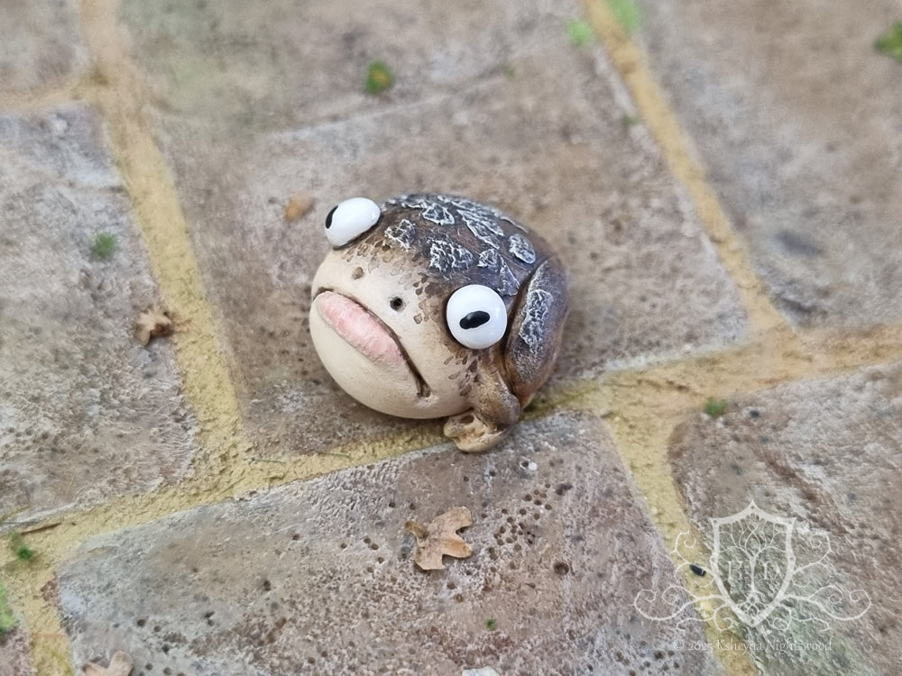 Witches Toads