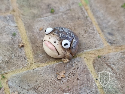 Witches Toads
