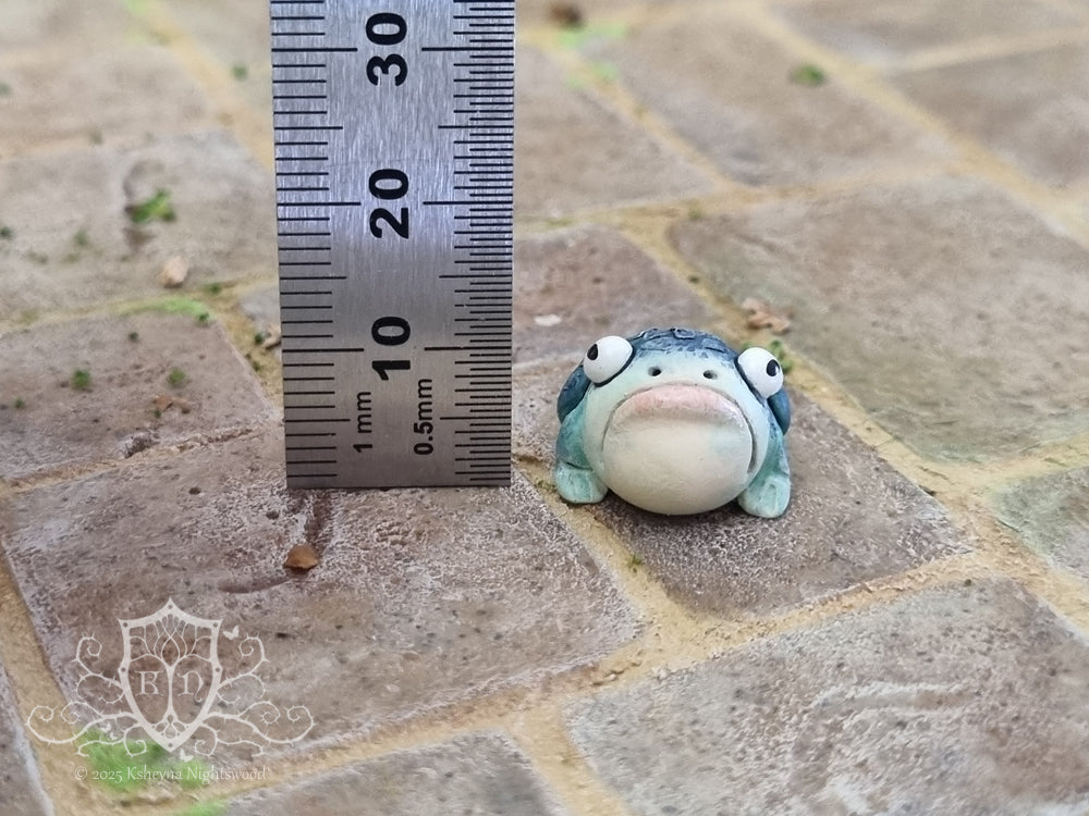 Witches Toads